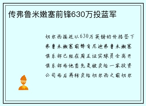 传弗鲁米嫩塞前锋630万投蓝军